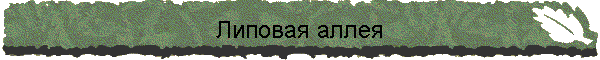 Липовая аллея