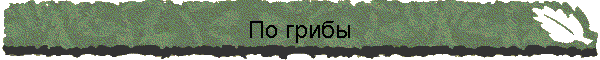 По грибы