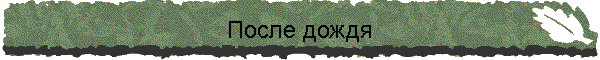 После дождя