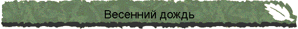 Весенний дождь