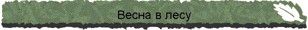 Весна в лесу