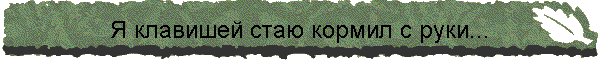Я клавишей стаю кормил с руки...