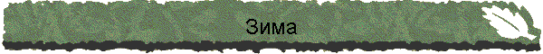 Зима