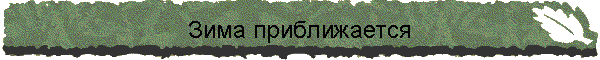 Зима приближается